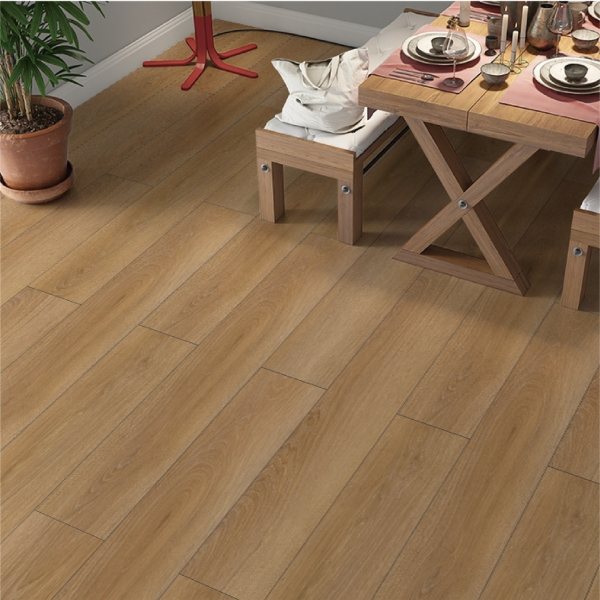 CHS-1108 暖曦晨陽