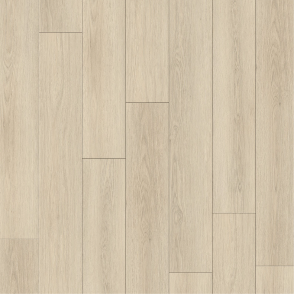 CHS-1102 曙光木境