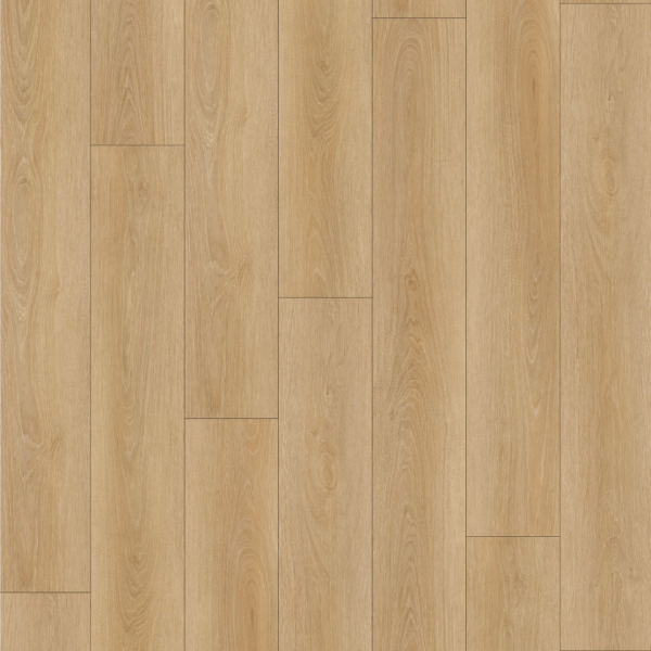 CHS-1106 麥田木韻