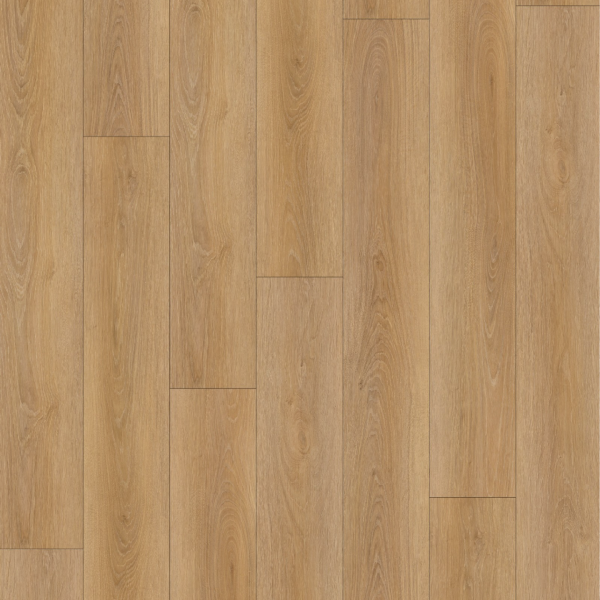 CHS-1108 暖曦晨陽